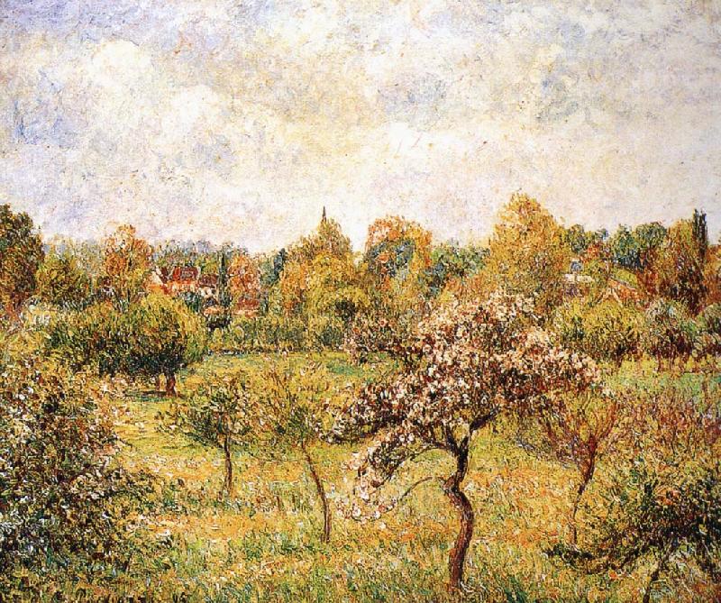 Camille Pissarro The apple trees on the lawn Germany oil painting art